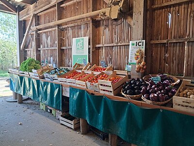 Vente à la ferme les mardis et vendredis!